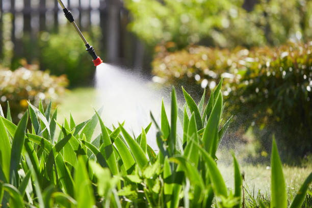 24/7 Emergency Fumigation Services experts in Lawrenceville, VA