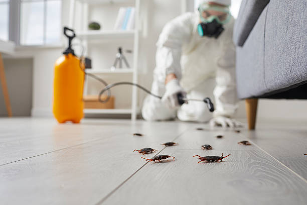 Trusted Fumigation Services service in Lawrenceville, VA - Nex Pest Control