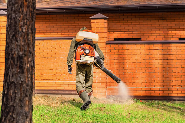 Trusted Ant Control service in Lawrenceville, VA - Nex Pest Control
